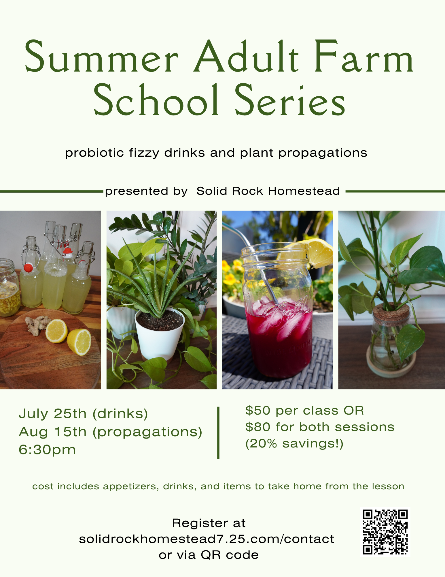Summer Adult Farm School Series flyer — probiotic fizzy drinks and plant propagations